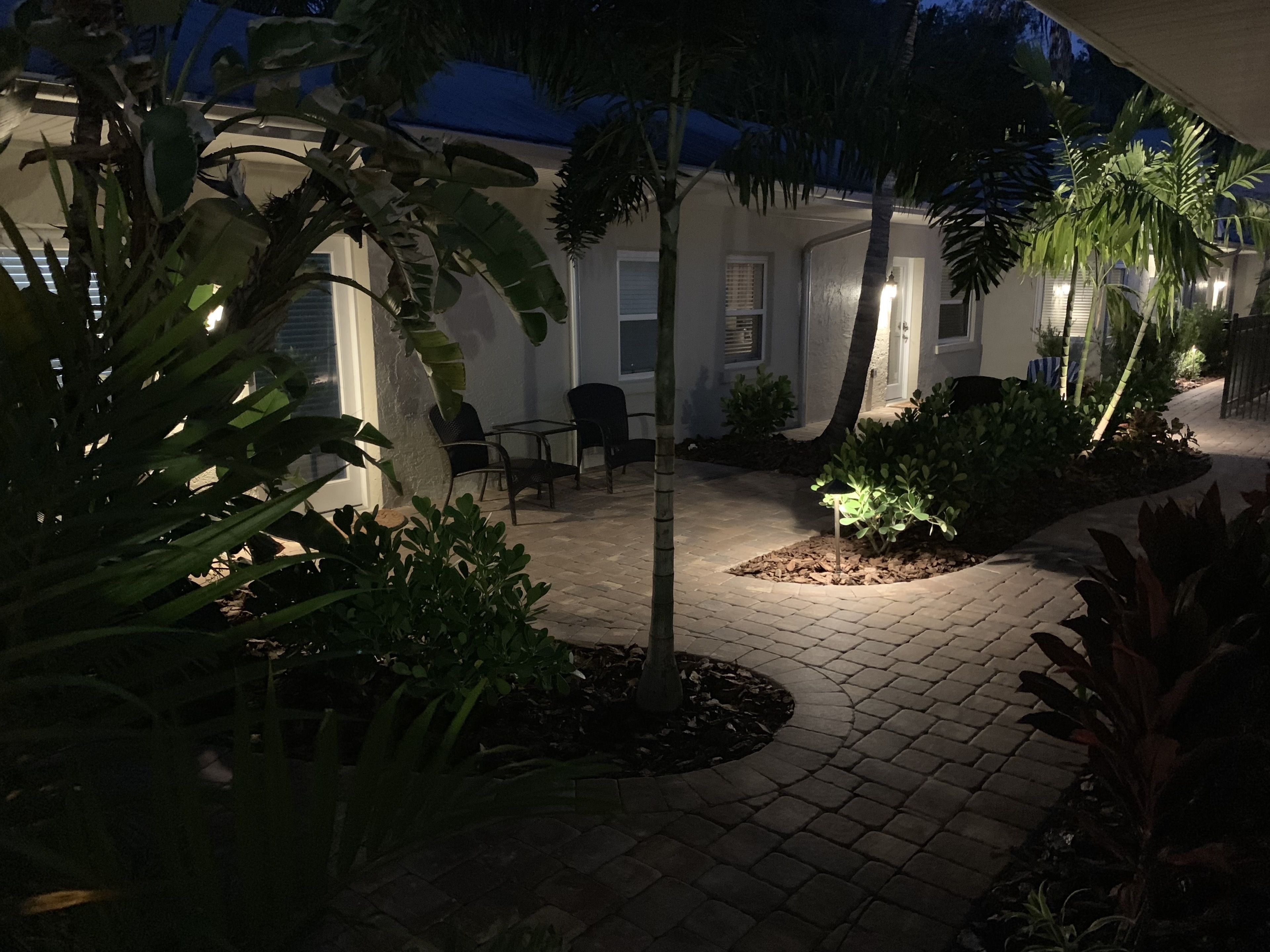 A paved courtyard with a seating area, surrounded by various plants and trees.
