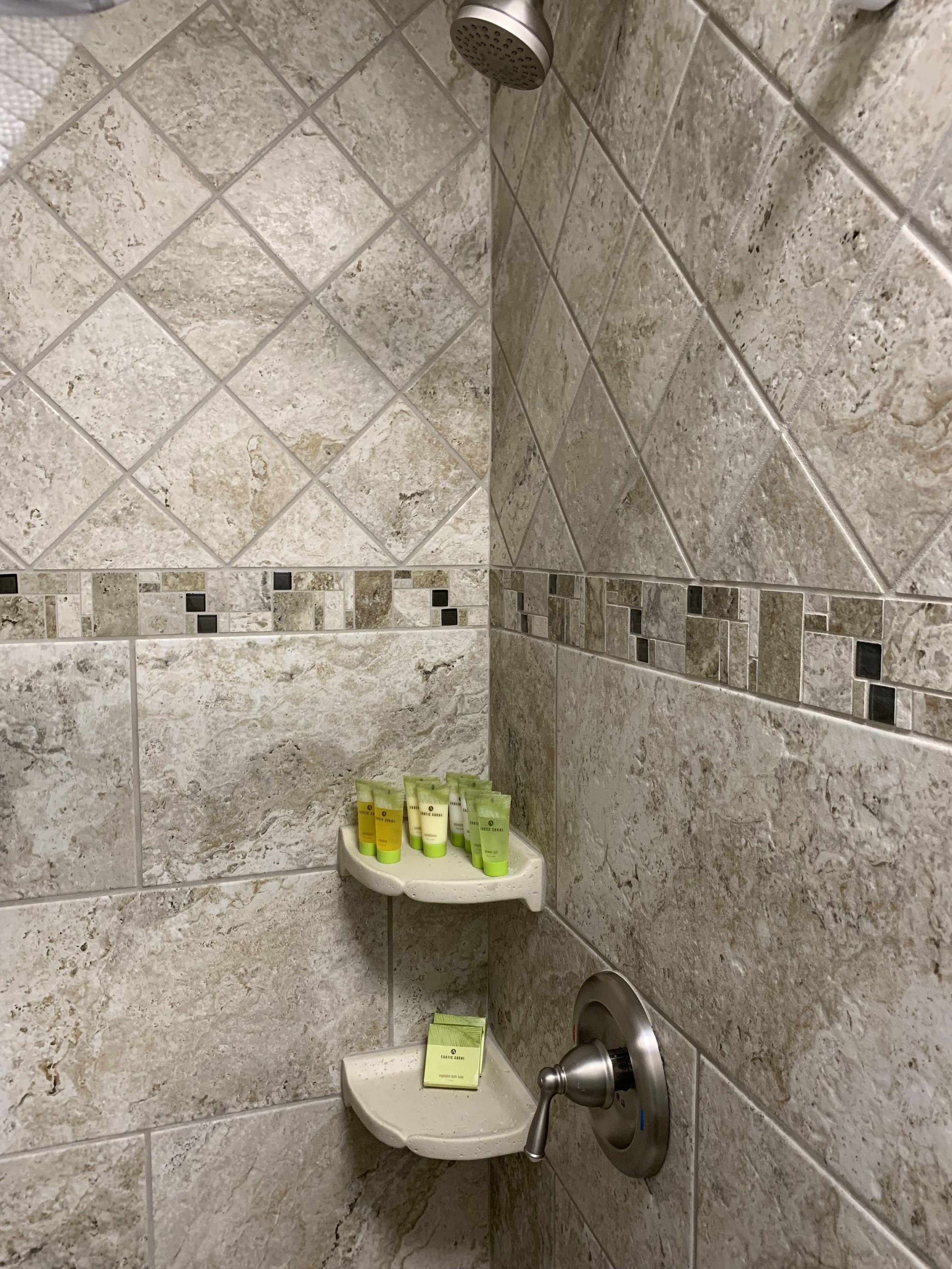 deluxe suite, 1 king bed with sofa bed (unit 1) | bathroom | shower, free toiletries, hair dryer, towels