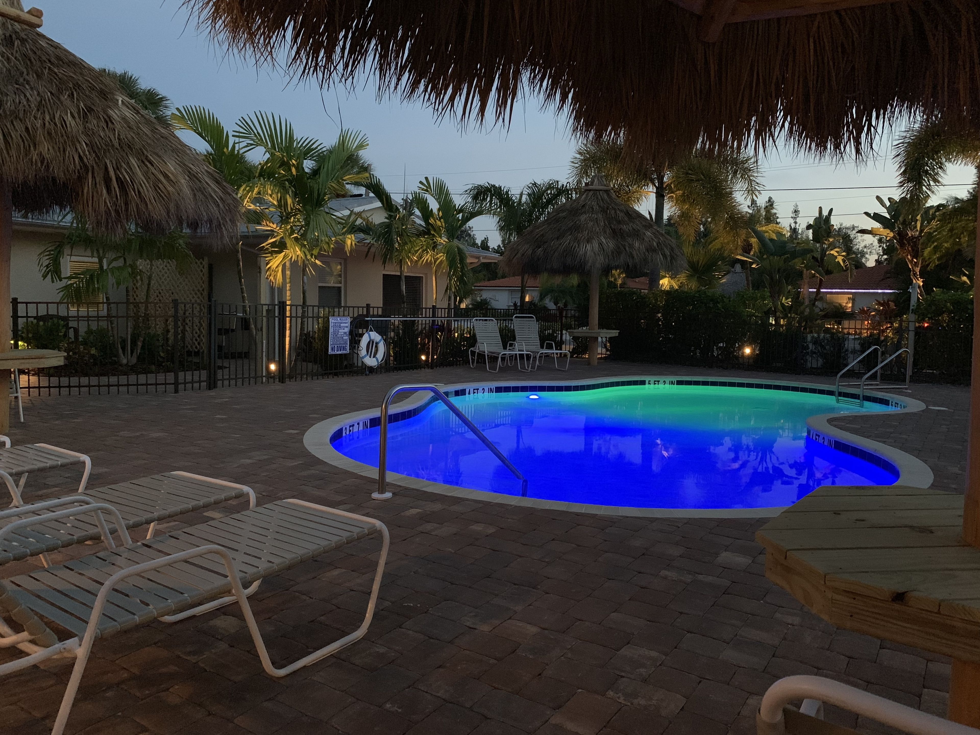 A swimming pool with a blue tint, surrounded by lounge chairs and palm trees.