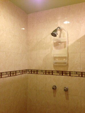 Kamar Single Standar, 1 Tempat Tidur King | Shower kamar mandi