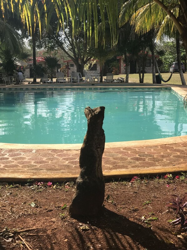 Piscina externa