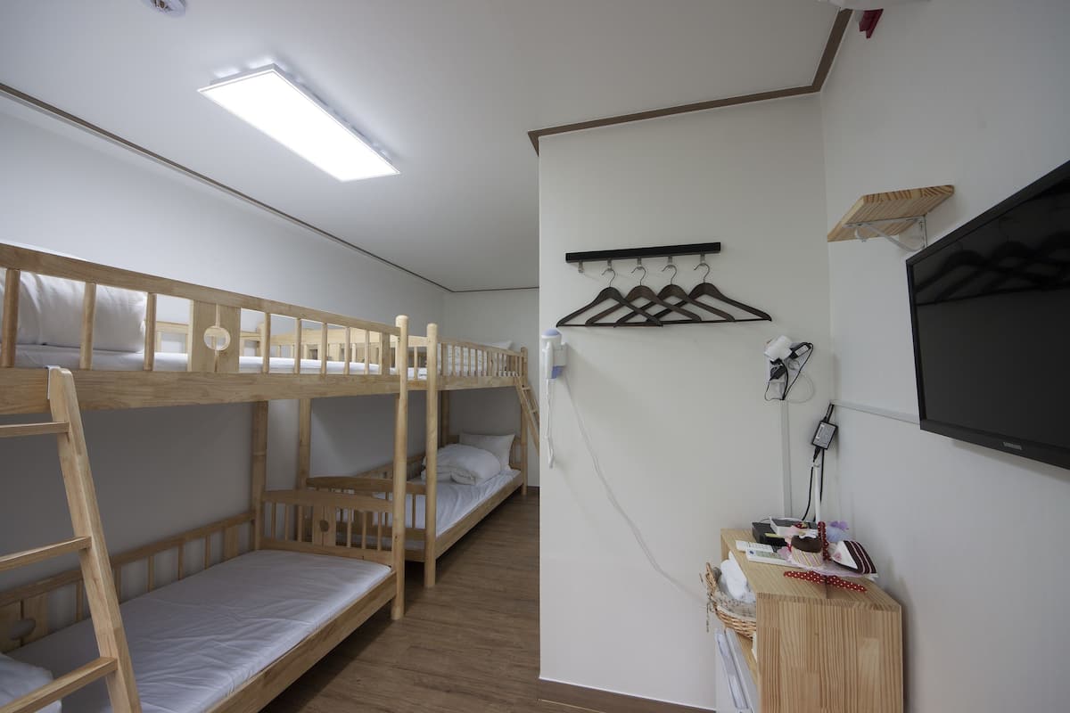 A dormitory room with bunk beds, a desk with a chair, a TV, and a wall-mounted coat rack.