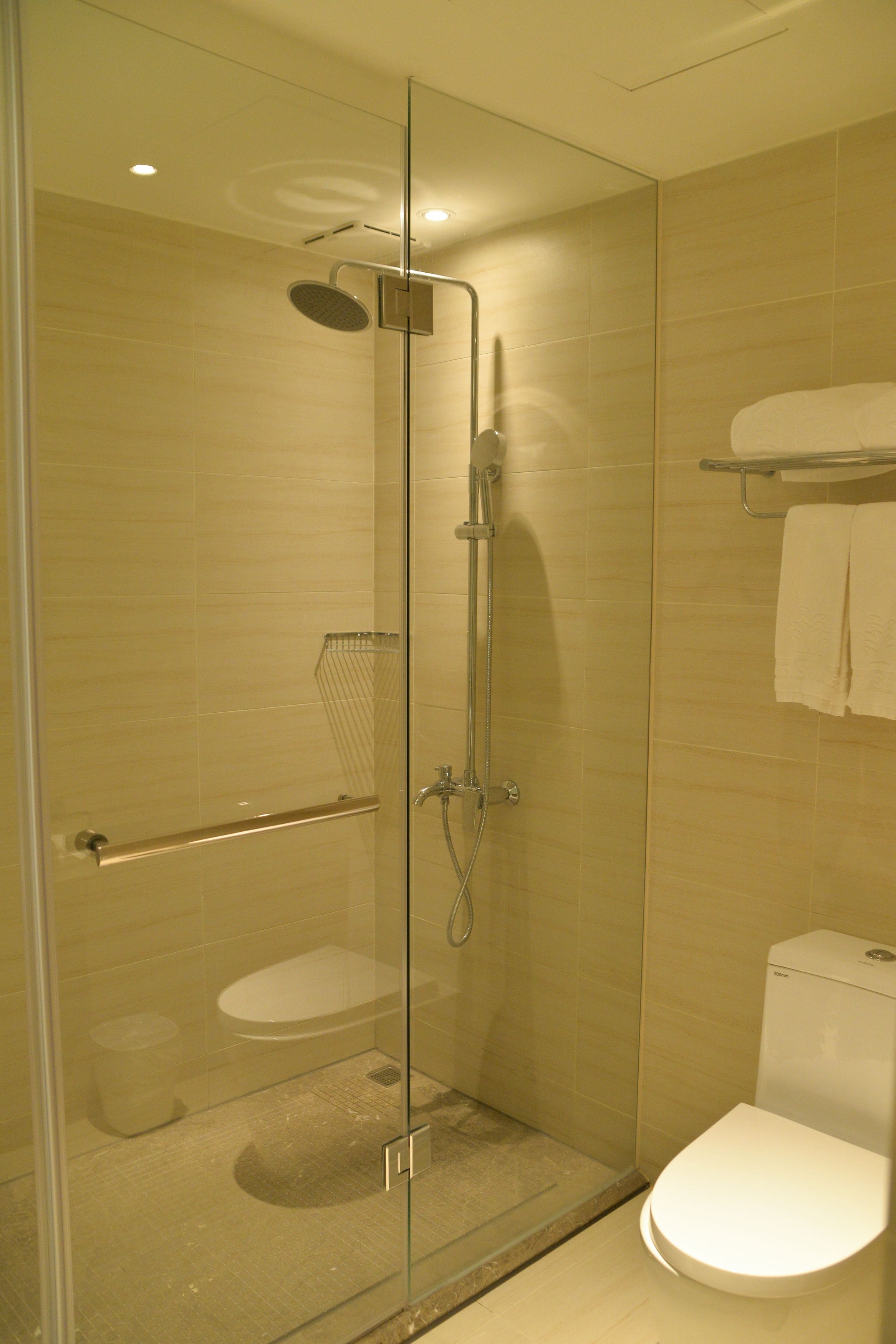 A glass-enclosed shower stall with a handheld showerhead, a glass door, and a white toilet.