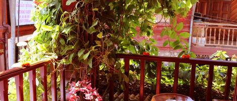 Superior Double Room, Terrace | Balcony