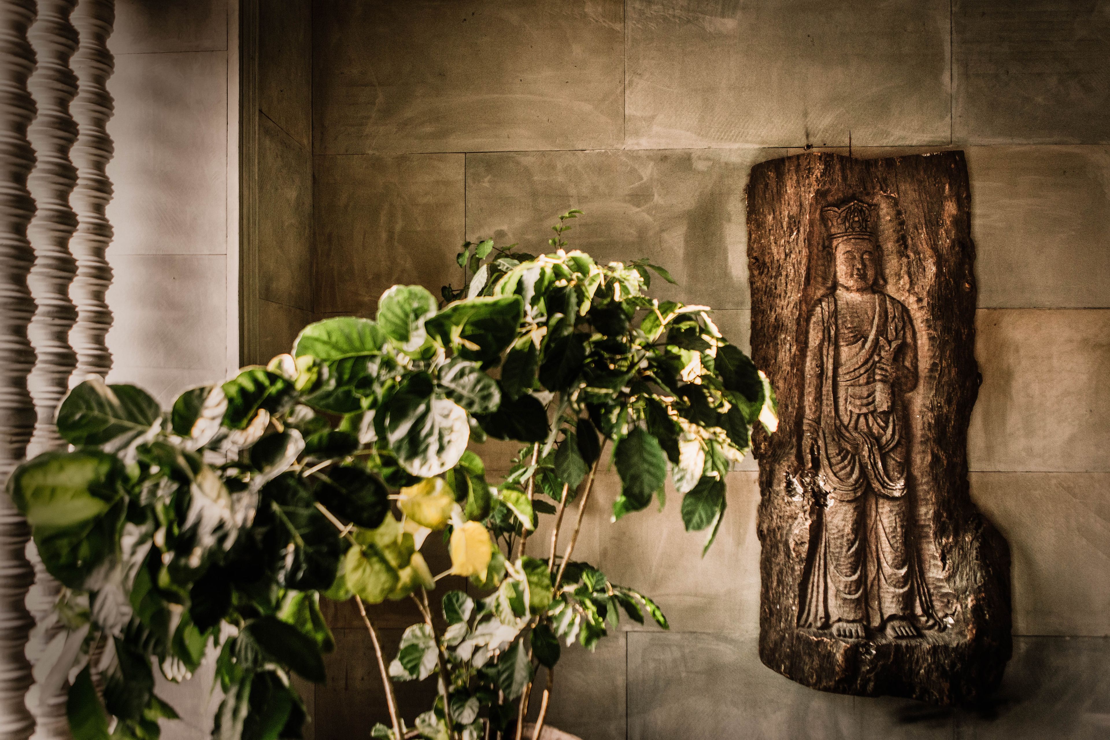 A room with a large Buddha statue on the wall, a potted plant in the foreground, and a window with curtains.