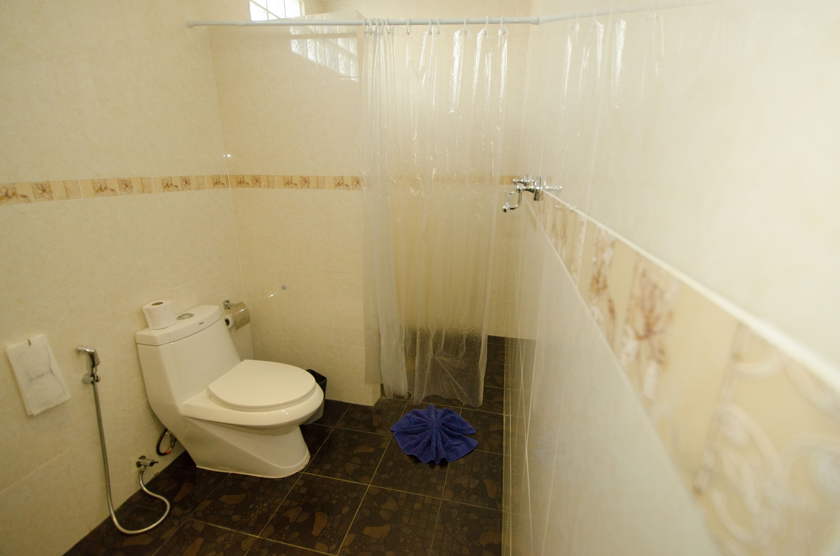 Une salle de bain avec des toilettes, un rideau de douche et un tapis de bain bleu sur le sol.