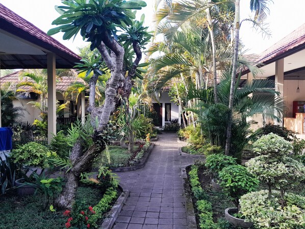 Habitación estándar, 1 cama matrimonial, vista a la montaña | Vista al jardín