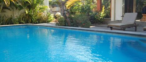 Outdoor pool, pool loungers
