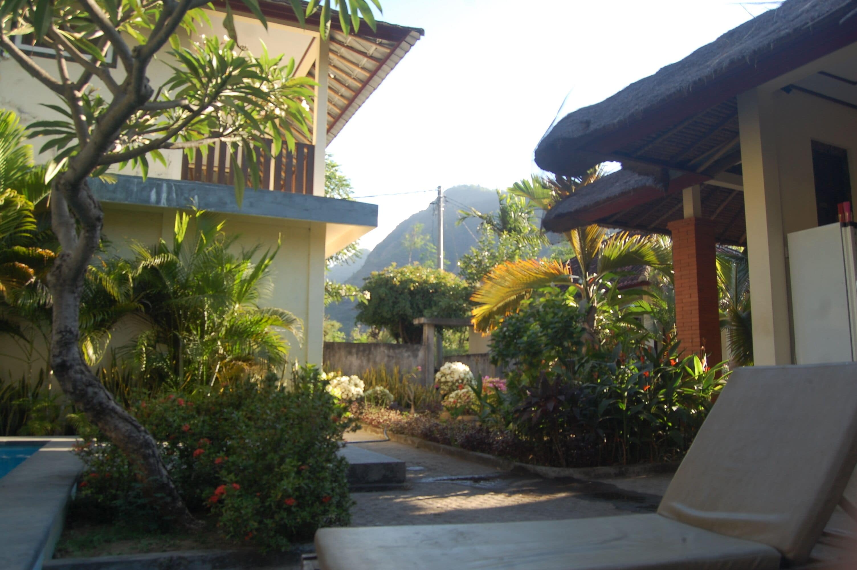 A residential area with a pool, a lounge chair, and a house with a thatched roof.