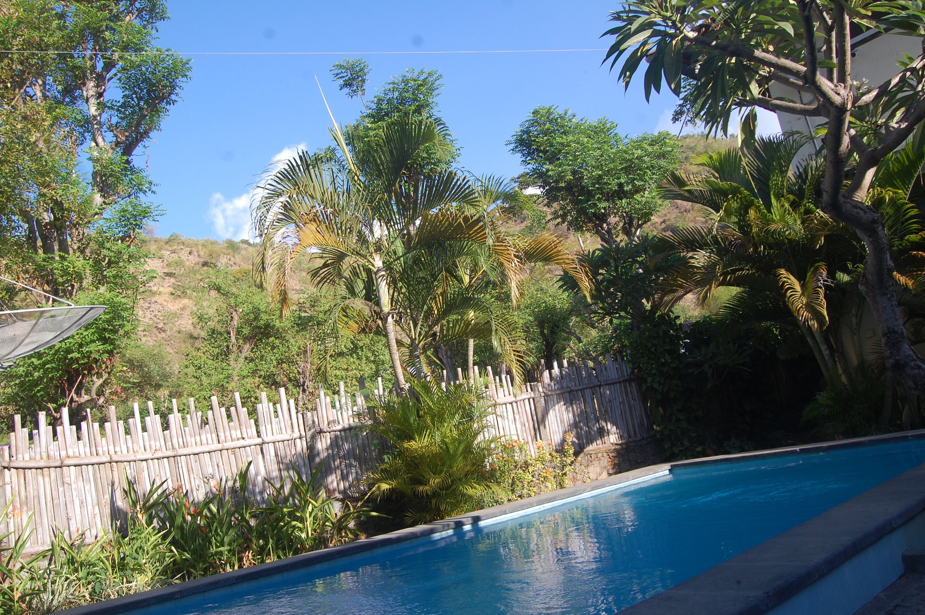 A swimming pool surrounded by lush greenery and a wooden fence.
