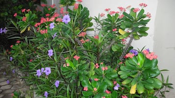 Jardin