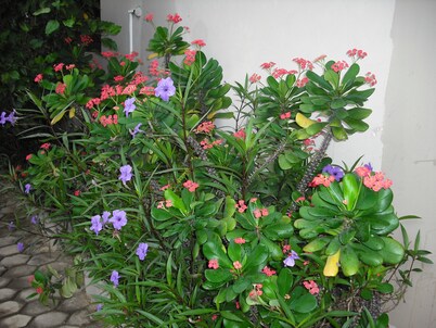 Osda Guest House