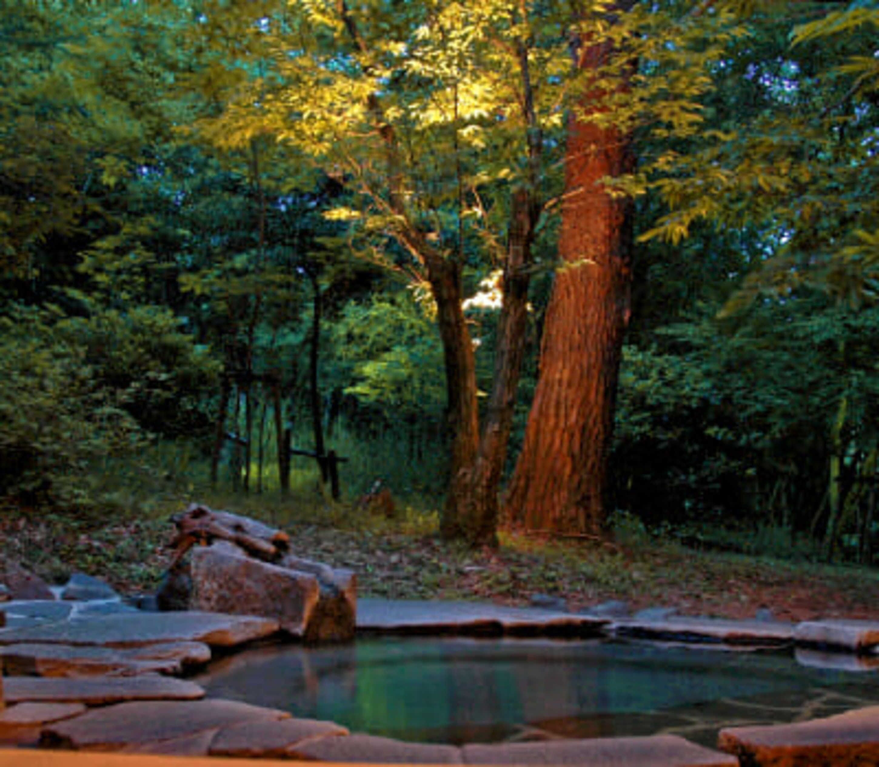 A natural setting with a small pond surrounded by rocks and trees.