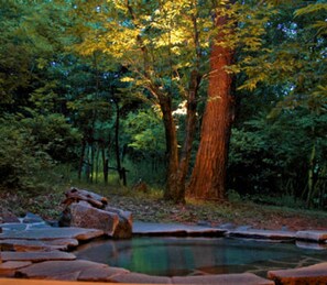Aguas termales