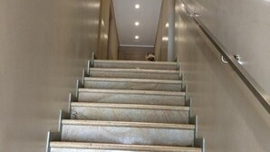 Eine Marmortreppe mit Metallgeländern, die zu einer Zwischenebene mit einer Deckenleuchte führt.