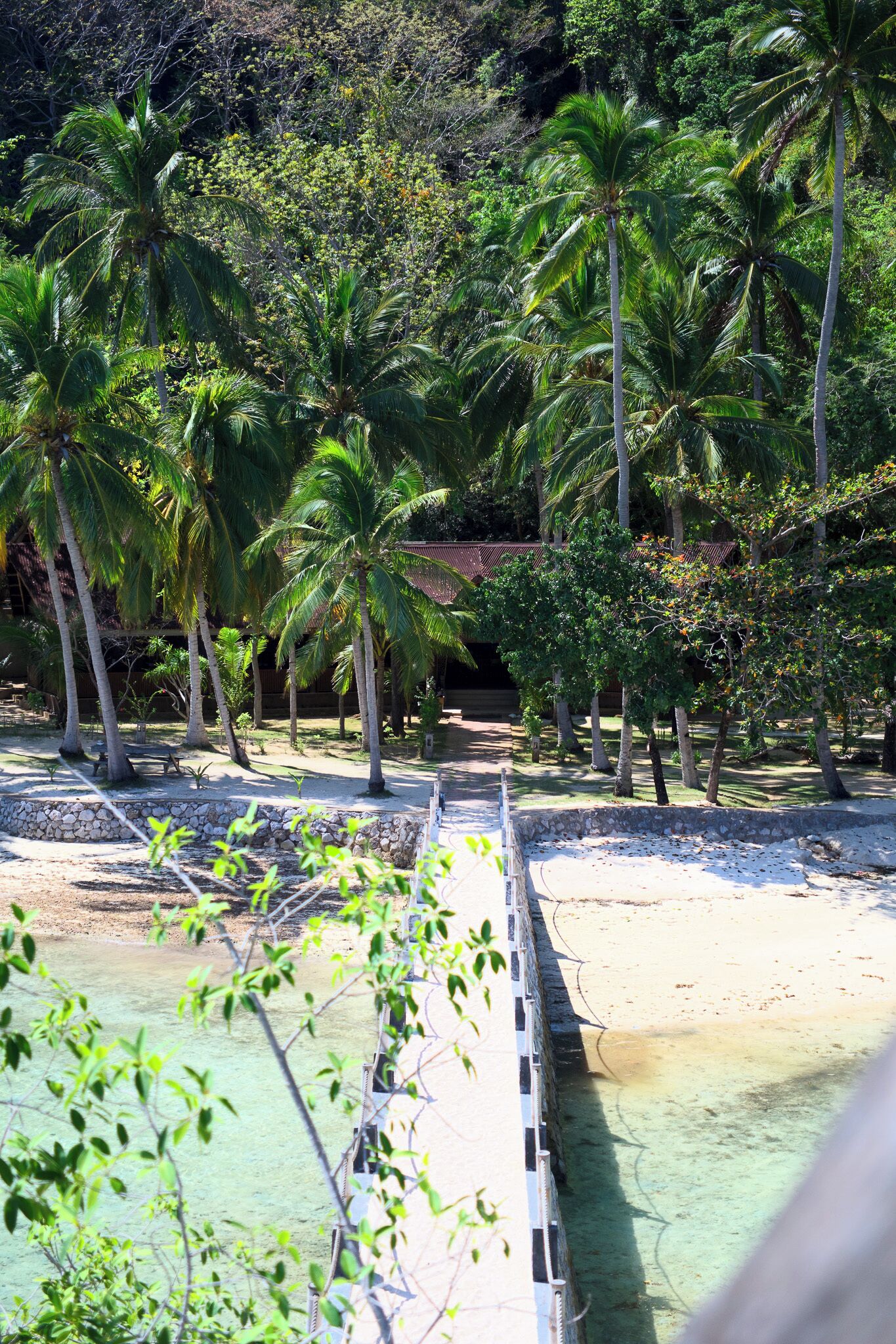 A coastal area with palm trees and a sandy beach.