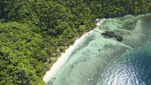 An aerial view of a tropical beach with dense forest, clear turquoise waters, and a few small buildings along the shore. - Sangat Island Dive Resort (Coron)