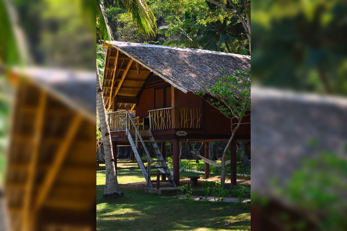 A wooden structure with a thatched roof, elevated on stilts, surrounded by lush greenery.