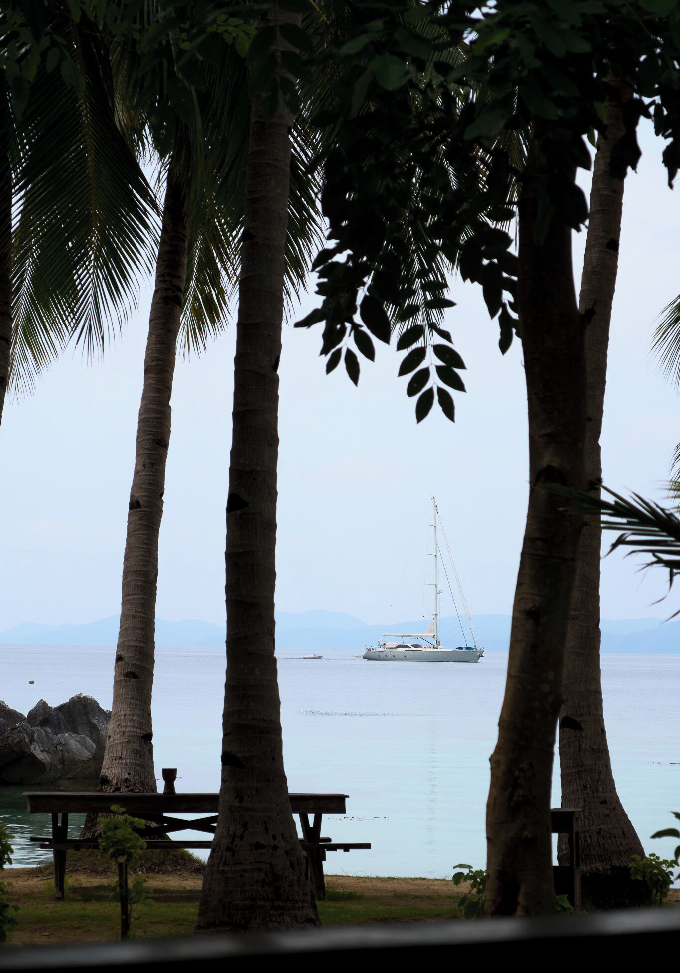 Vista de una playa con palmeras y un velero a lo lejos.
