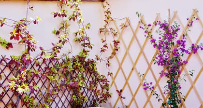B&B Guelfi e Ghibellini