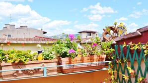 Un jardin sur le toit, agrémenté de différentes plantes et fleurs en pot.
