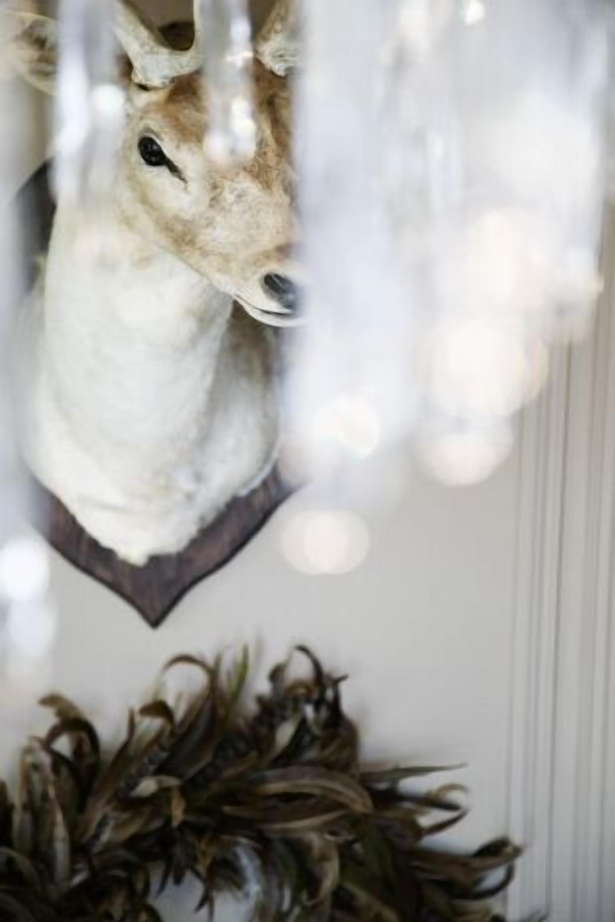 Photo - Inn on the Lake