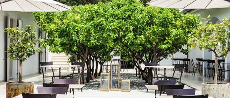 An outdoor cafe area with tables and chairs, surrounded by trees and umbrellas.