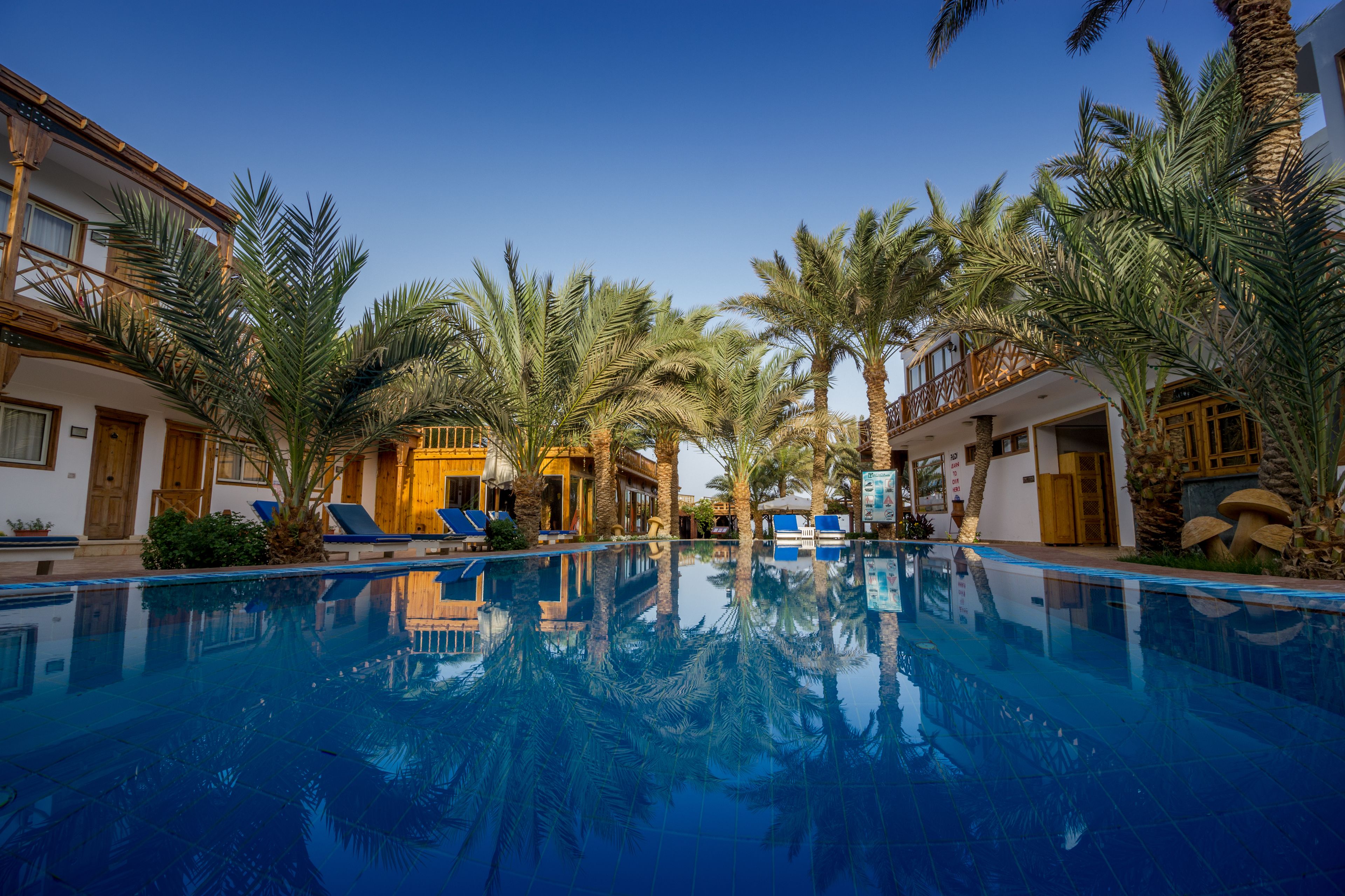 outdoor pool, pool umbrellas, pool loungers