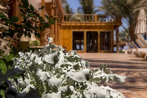 Garden - Acacia Dahab Hotel (Dahab)
