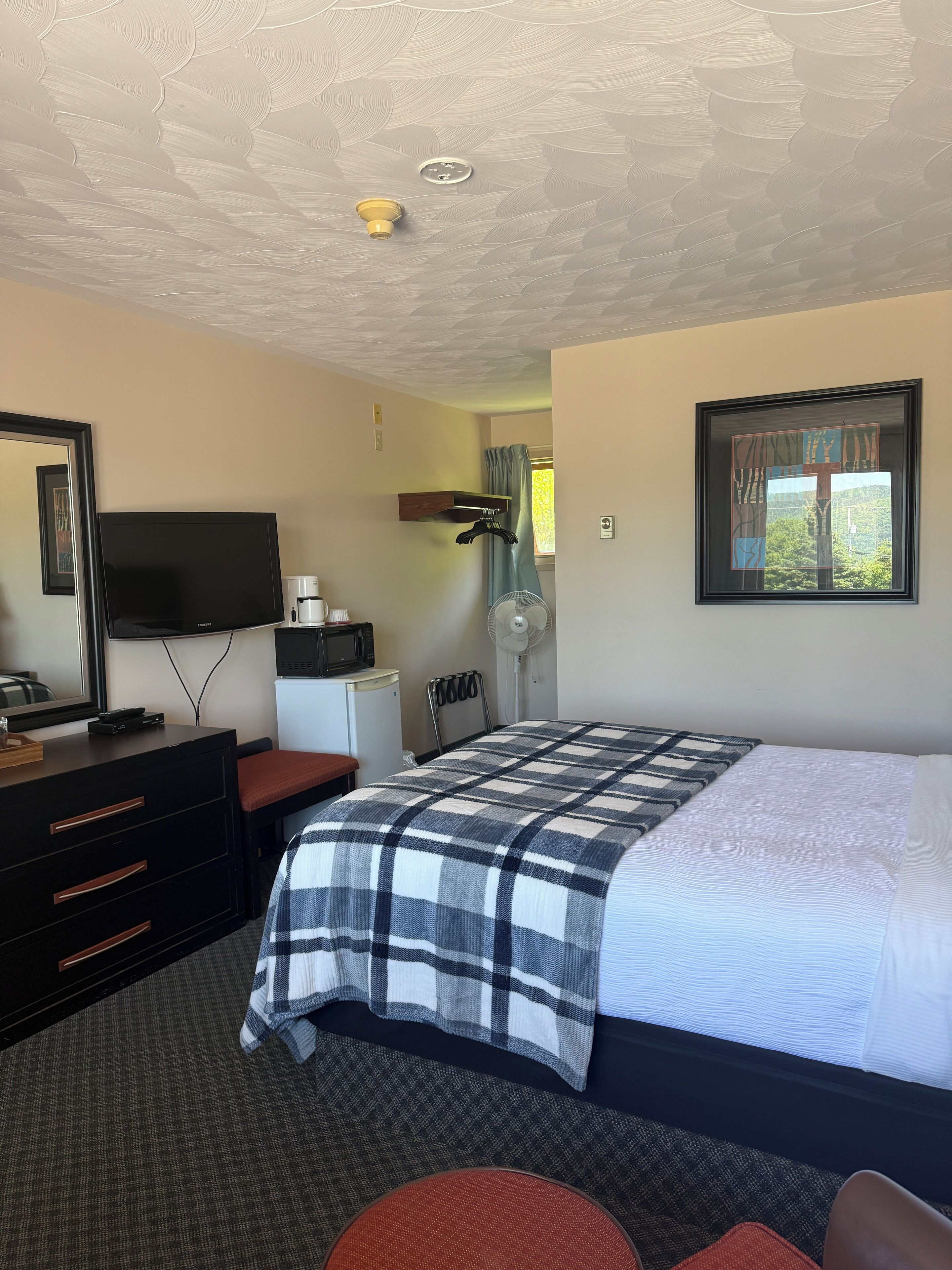 Une chambre d’hôtel équipée d’un lit, d’une télévision, d’un bureau, d’une chaise, d’une commode, d’un ventilateur et d’une fenêtre donnant sur des arbres.