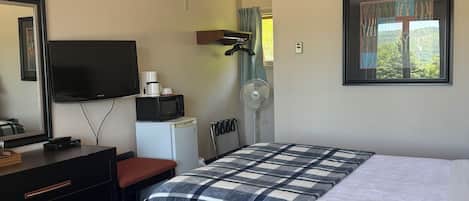 A hotel room with a bed, a TV, a desk, a chair, a dresser, a fan, and a window with a view of trees.