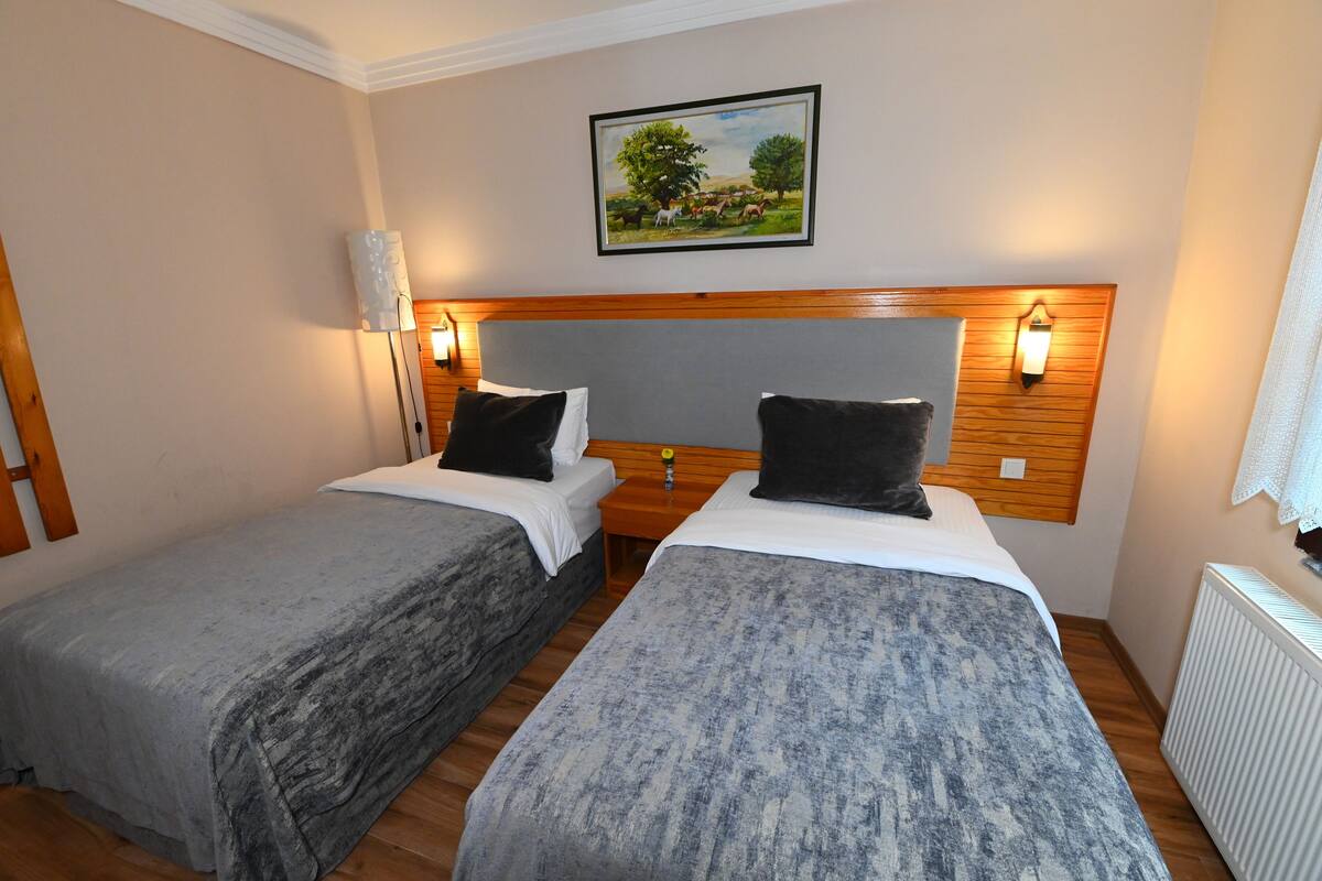 A hotel room with two single beds, wooden headboards, a painting of a landscape, and a radiator.
