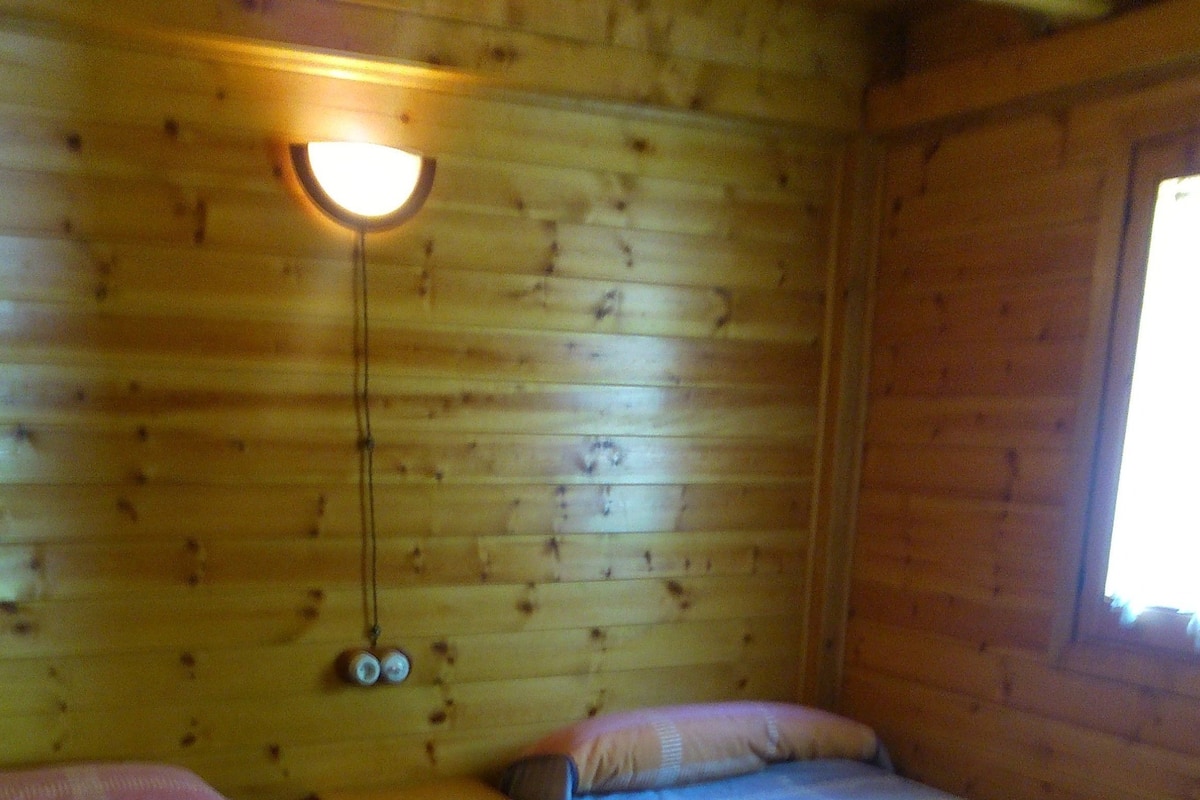 Habitación tipo cabaña con dos camas, una mesita de noche y una lámpara.