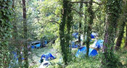 Camping Puigcercós