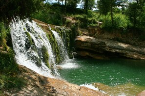 A waterfall cascading over rocks into a clear pool surrounded by lush greenery.