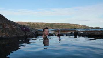 Natural pool