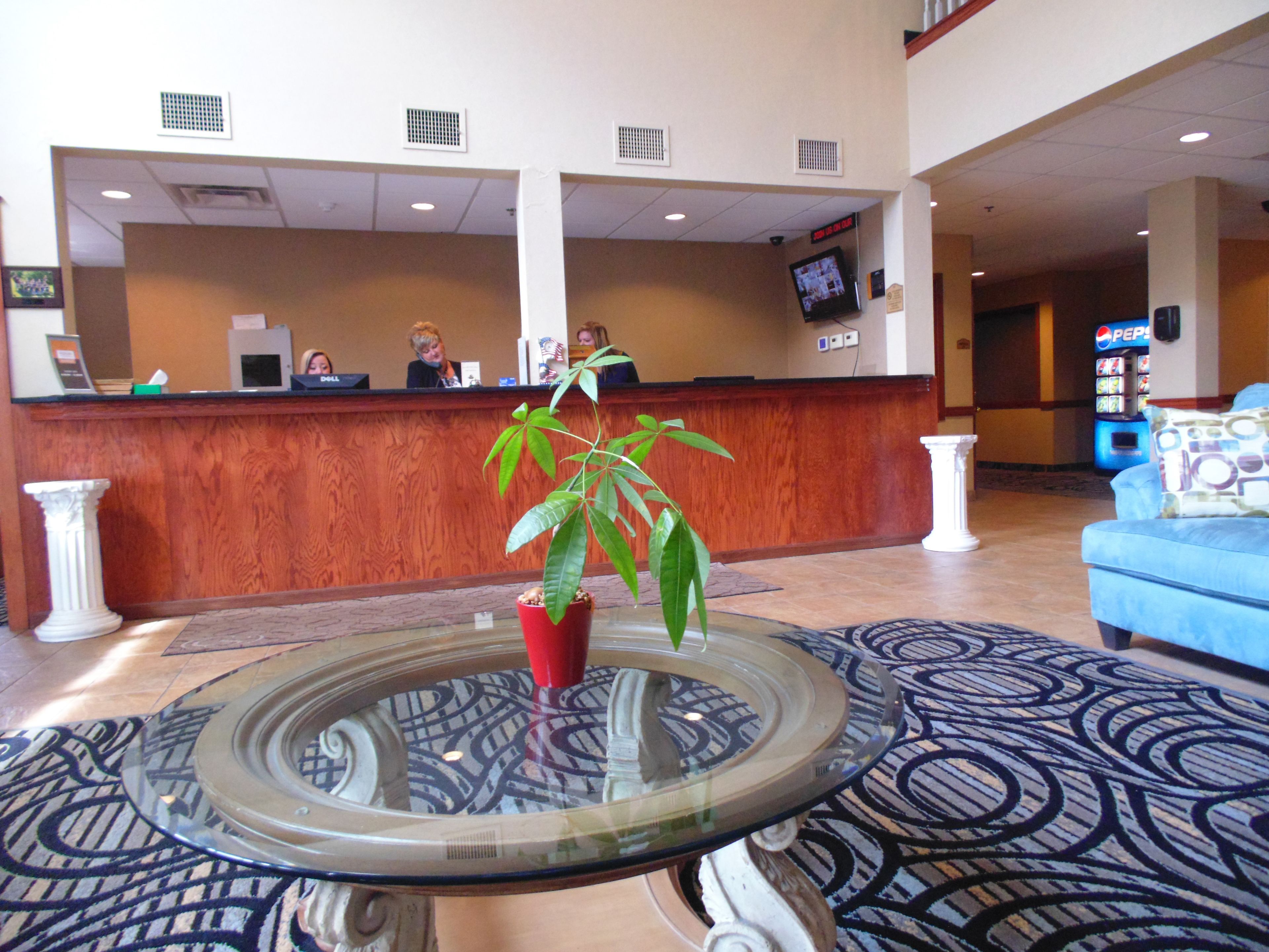Un área de recepción con un mostrador de madera, una mesa de vidrio con una planta en maceta, un sofá azul y una alfombra estampada.