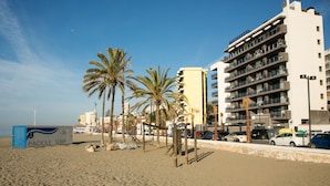 Una platja amb palmeres, un cartell de paddle surf i edificis moderns al fons.