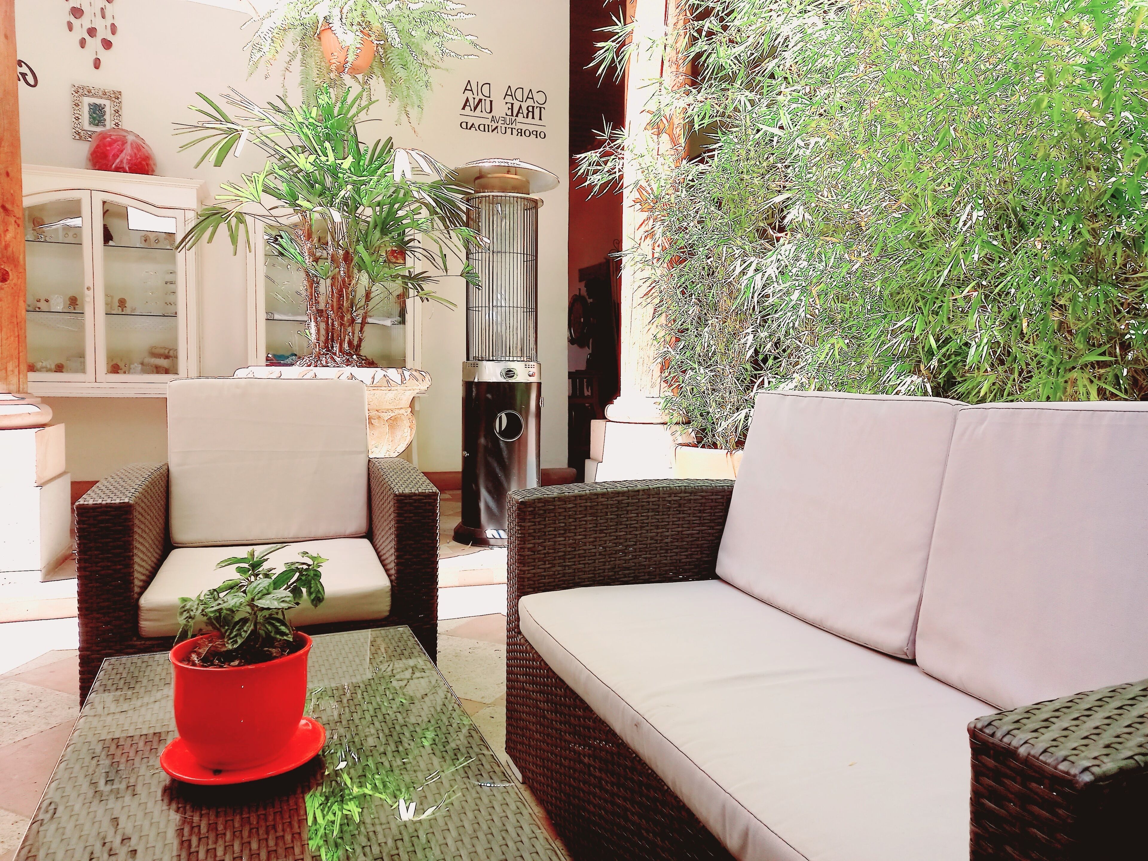 Terraza o patio