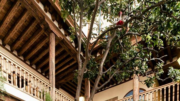 A traditional inn with a rustic wooden interior, featuring a central courtyard with tables and chairs, surrounded by balconies and a large tree. - Hotel Casa del Naranjo (Patzcuaro)