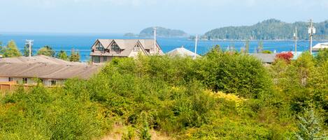 A coastal residential area with houses, dense greenery, and a view of the ocean.