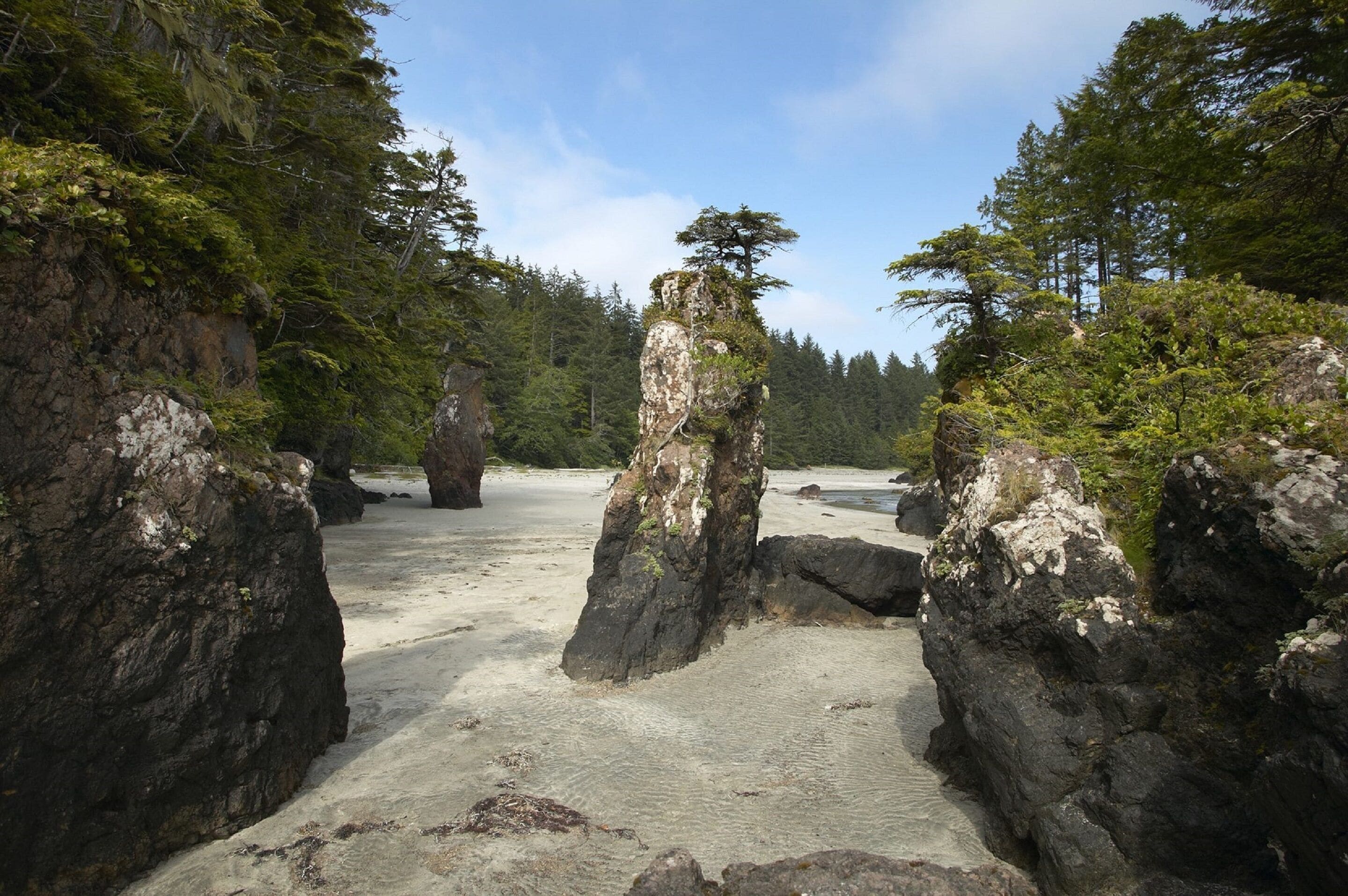 A natural landscape with rocky formations and dense forest.
