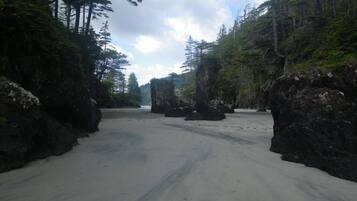 A road flanked by dense forest and large boulders.