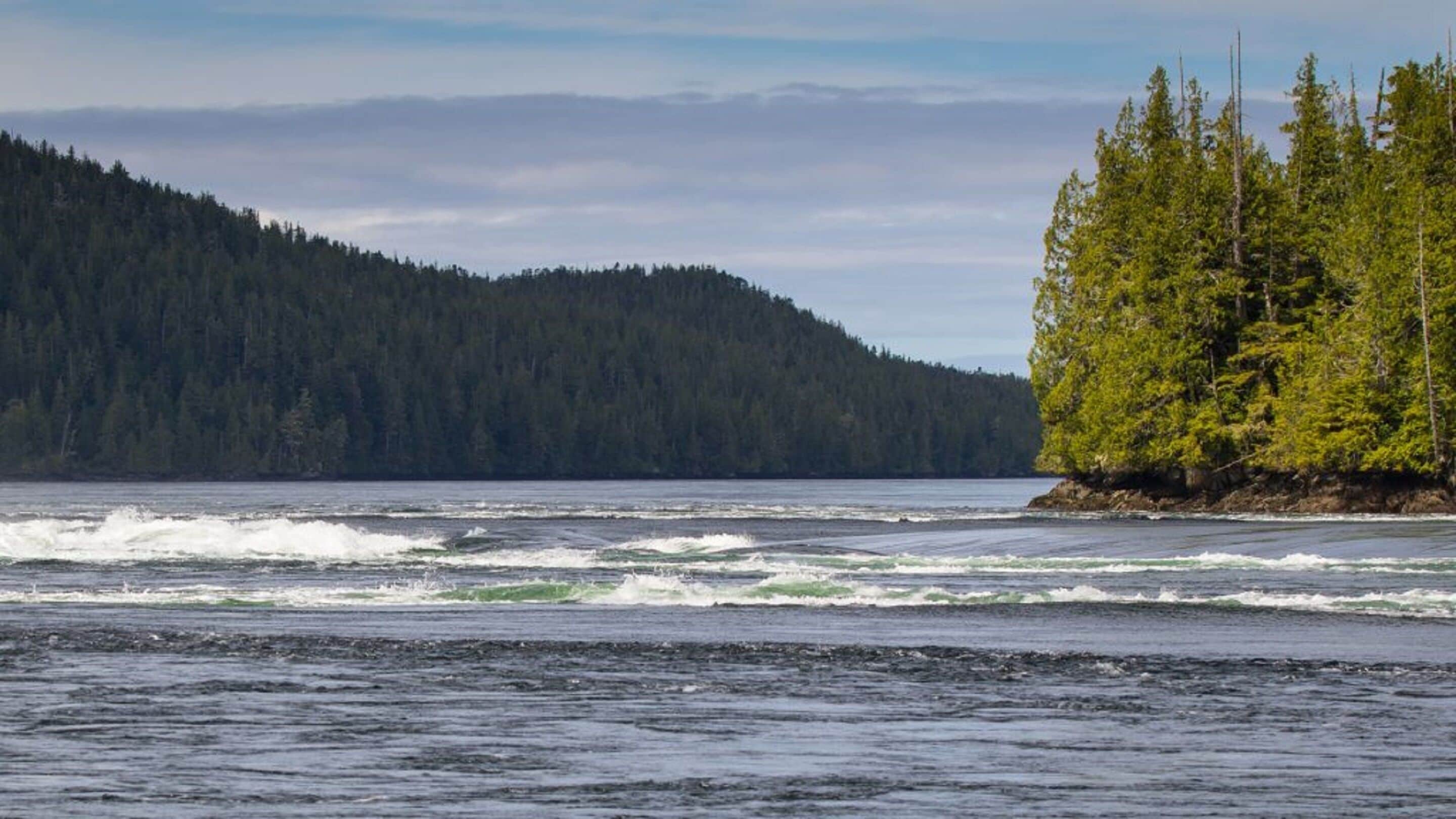 A coastal view with a forested hill and a rocky shoreline.