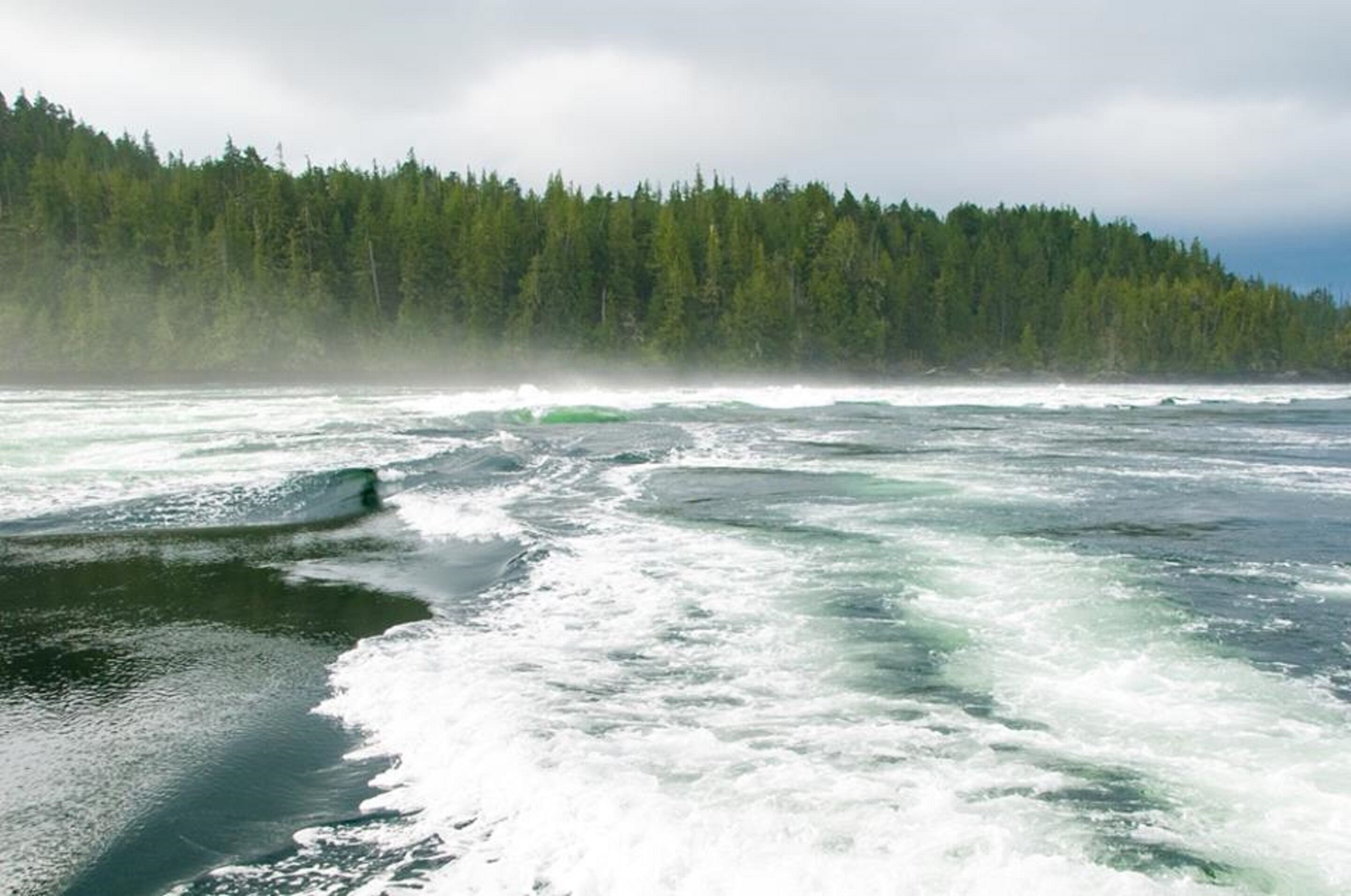 A forested coastline with rough sea waves.
