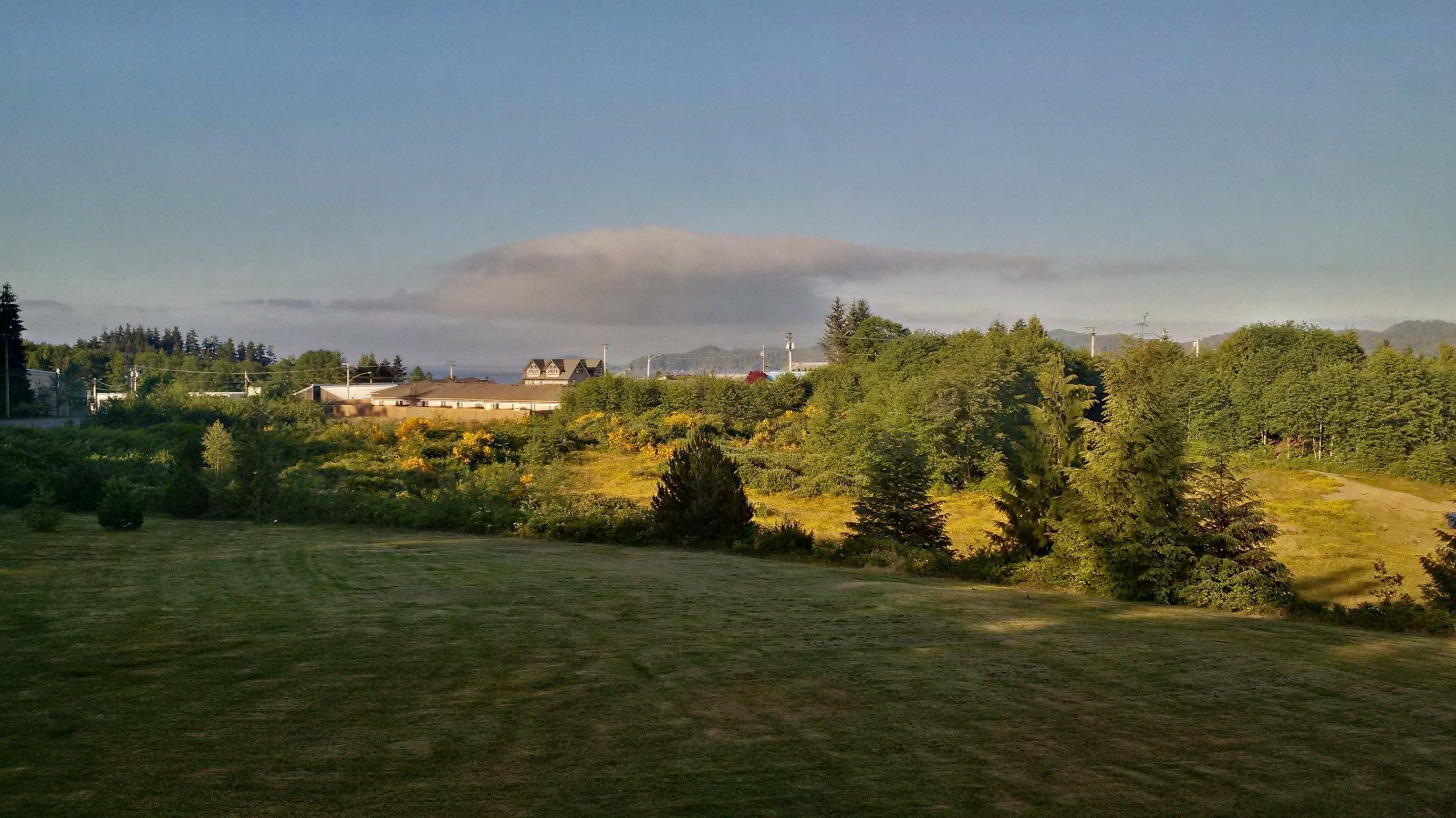 A residential area with houses, a grassy field, and dense trees.