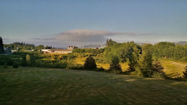 A residential area with houses, a grassy field, and dense trees.