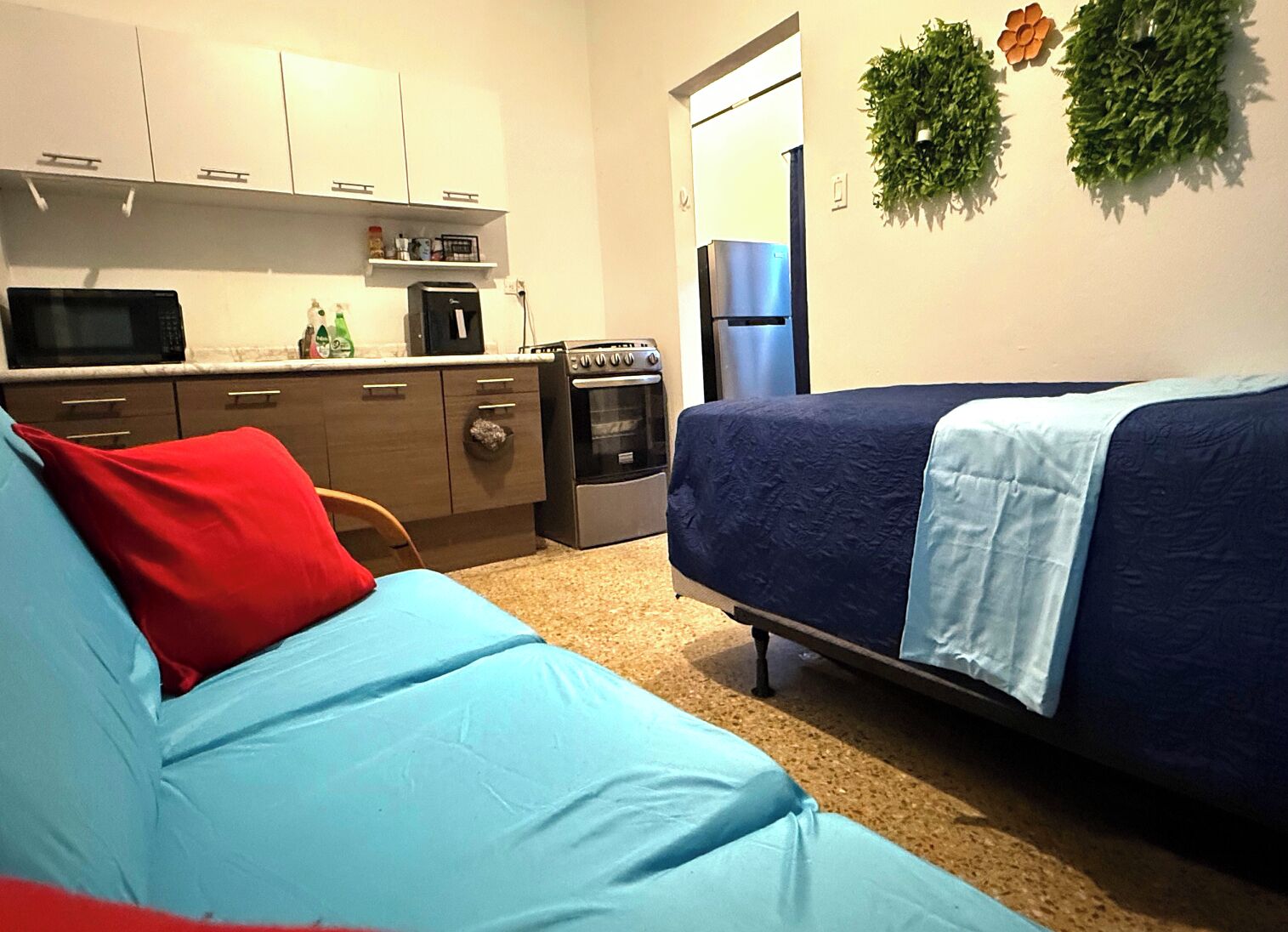 A compact living space with a kitchenette, a bed with blue and red pillows, and a wall-mounted plant.