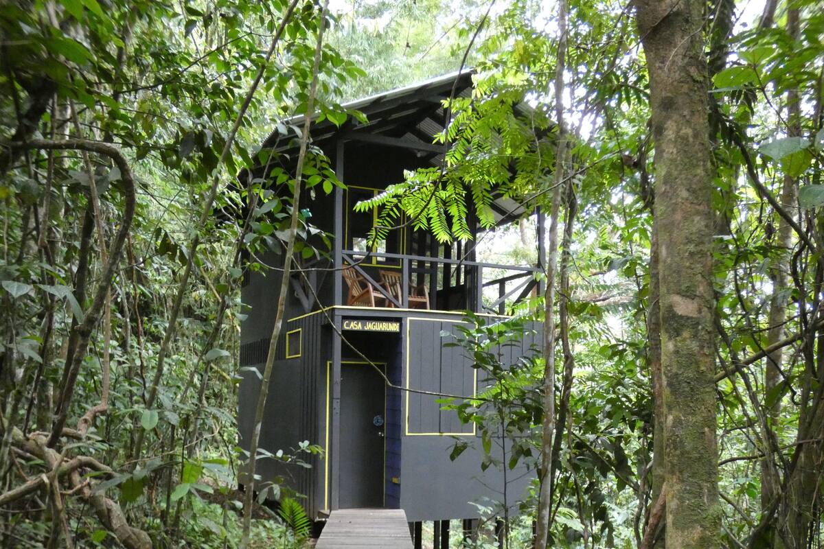 A wooden cabin named 'Casa Jaguarundi' surrounded by dense forest.