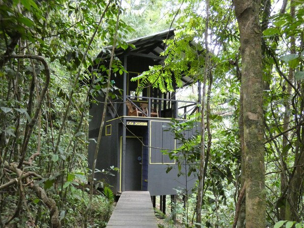 Une cabane en bois appelée « Casa Jaguarundi », entourée d’une forêt dense.